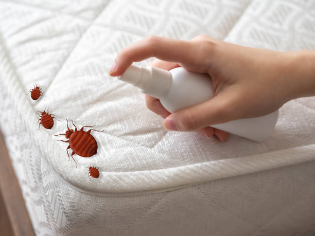 Best Pest Prevention Services  in Cedar Hills, OR